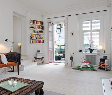 Scandinavian styleThree RoomApartment
