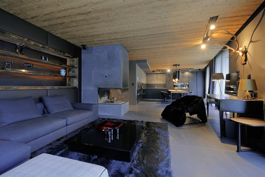 Canelle Chalet On The Stiff Slope In Alps 4