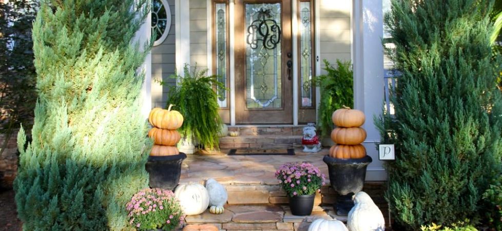 The Perfect Front Porch Decorating Ideas to Choose From