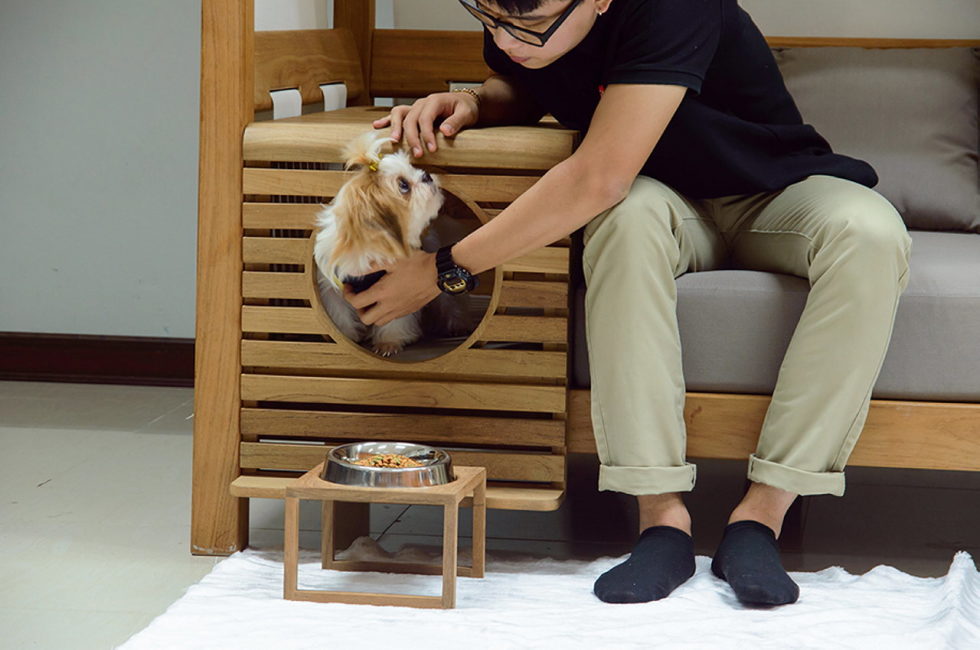 The Dog House, Combined With The Sofa 2