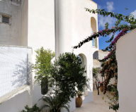 Italian House With A Fabulous Back-Yard Garden 1