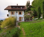 house-erg-the-residence-at-lake-of-geneva-by-ralph-germann-architects-19